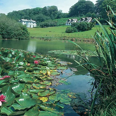 Holiday home Rosecraddoc Manor - Heron Saint Cleer